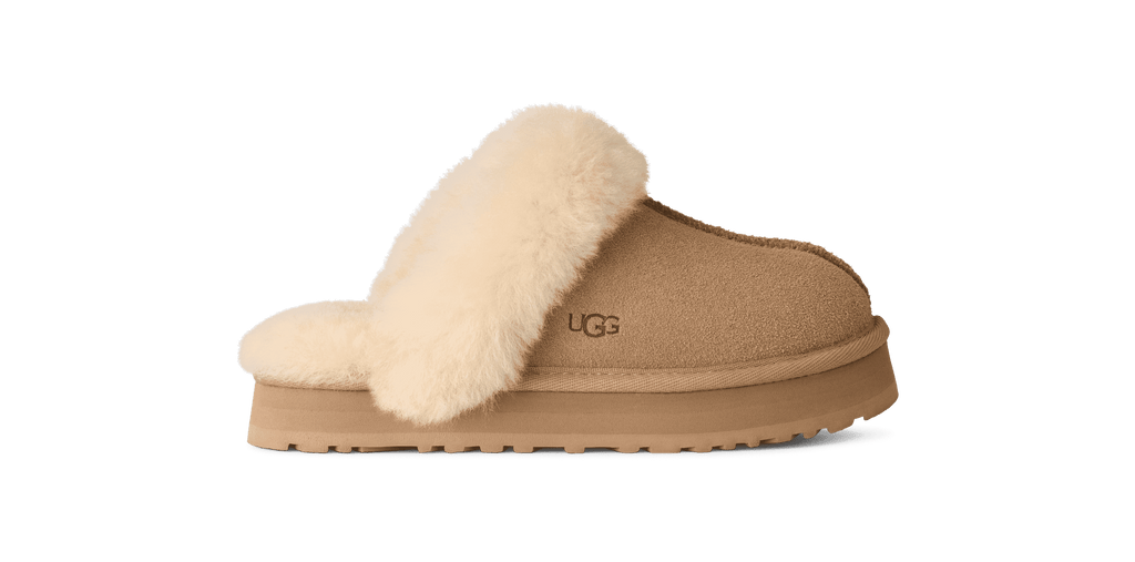 1171199K-DISQUETTE CHESTNUT