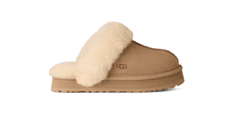 1171199K-DISQUETTE CHESTNUT